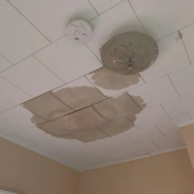 Ceiling Water Damage Repair in Madison, OH