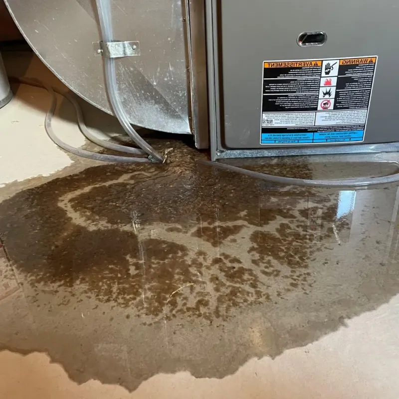 Pipe Burst and Leak Restoration in Madison, OH