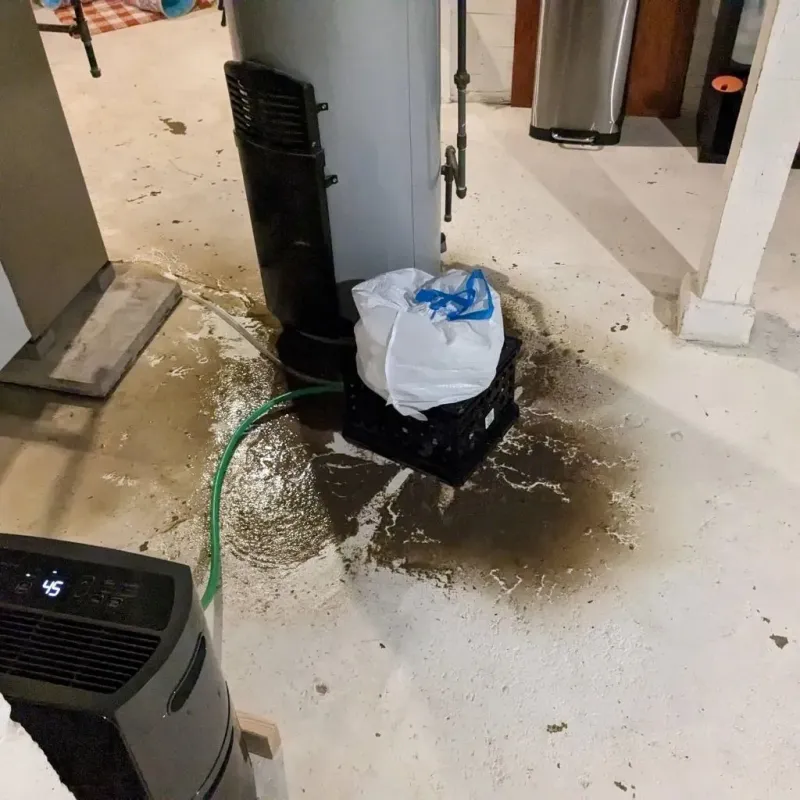 Sewage Backup Cleanup Service in Madison, OH